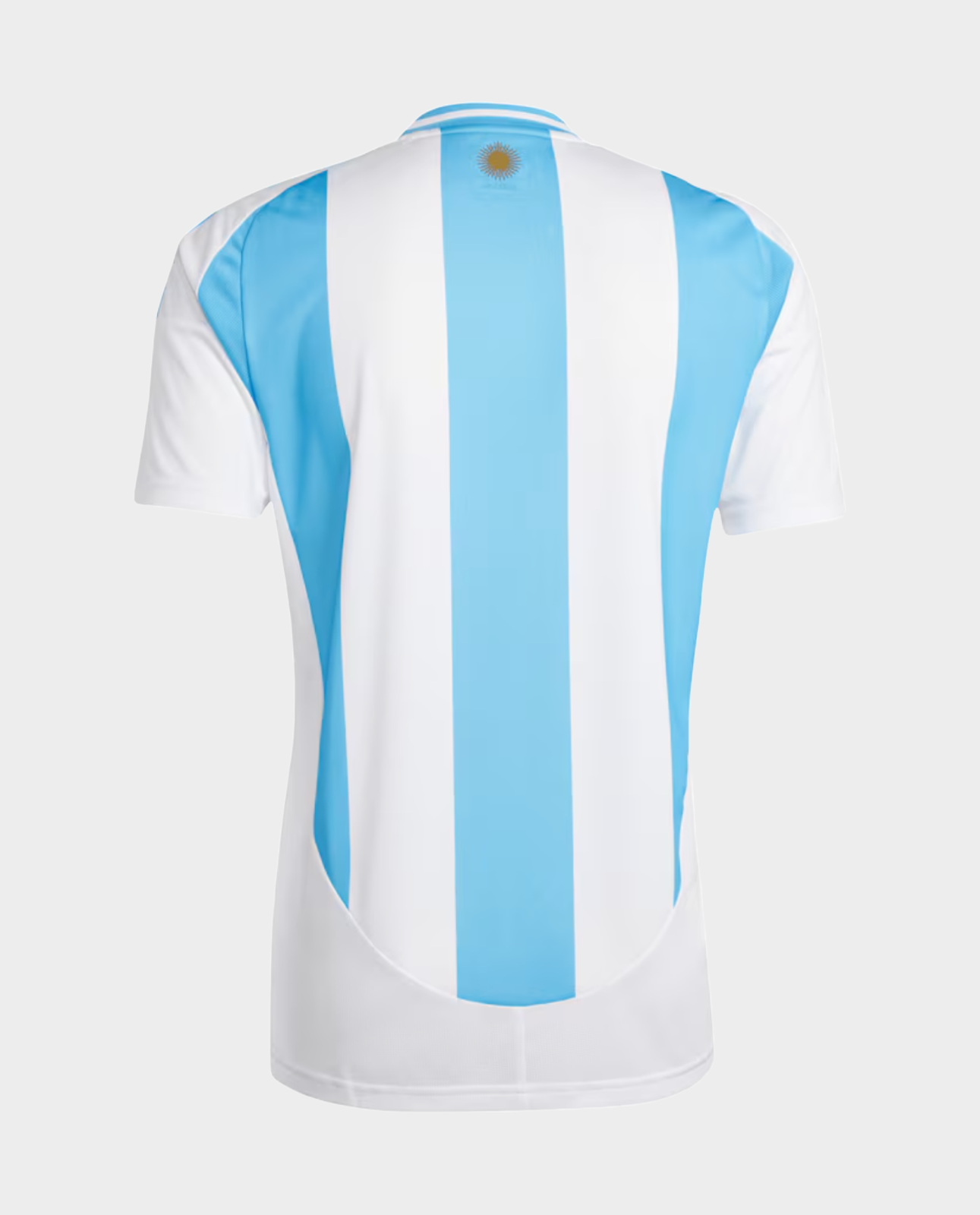 Argentina 2024-2025 Home Shirt Fan Version